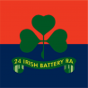 24 Battery